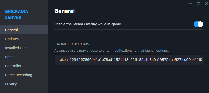 steam launch options screenshot